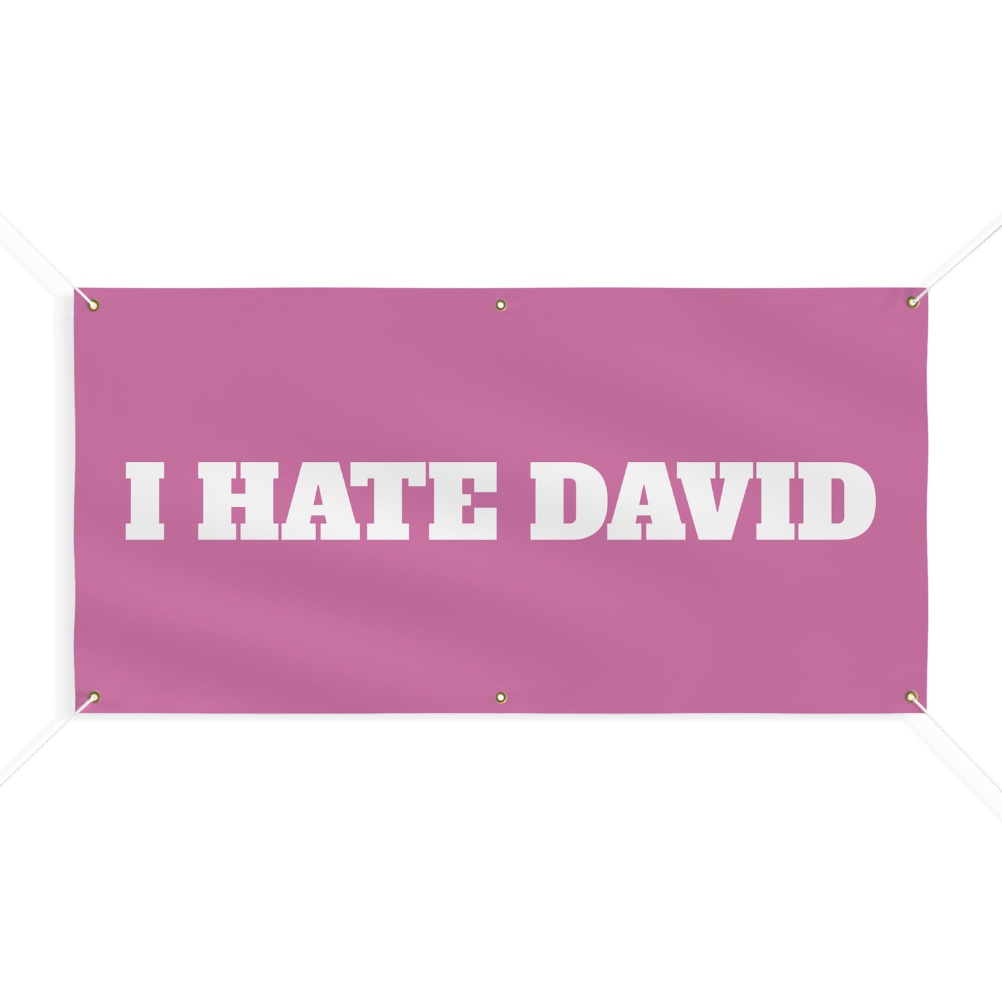 I HATE DAVID FLAG