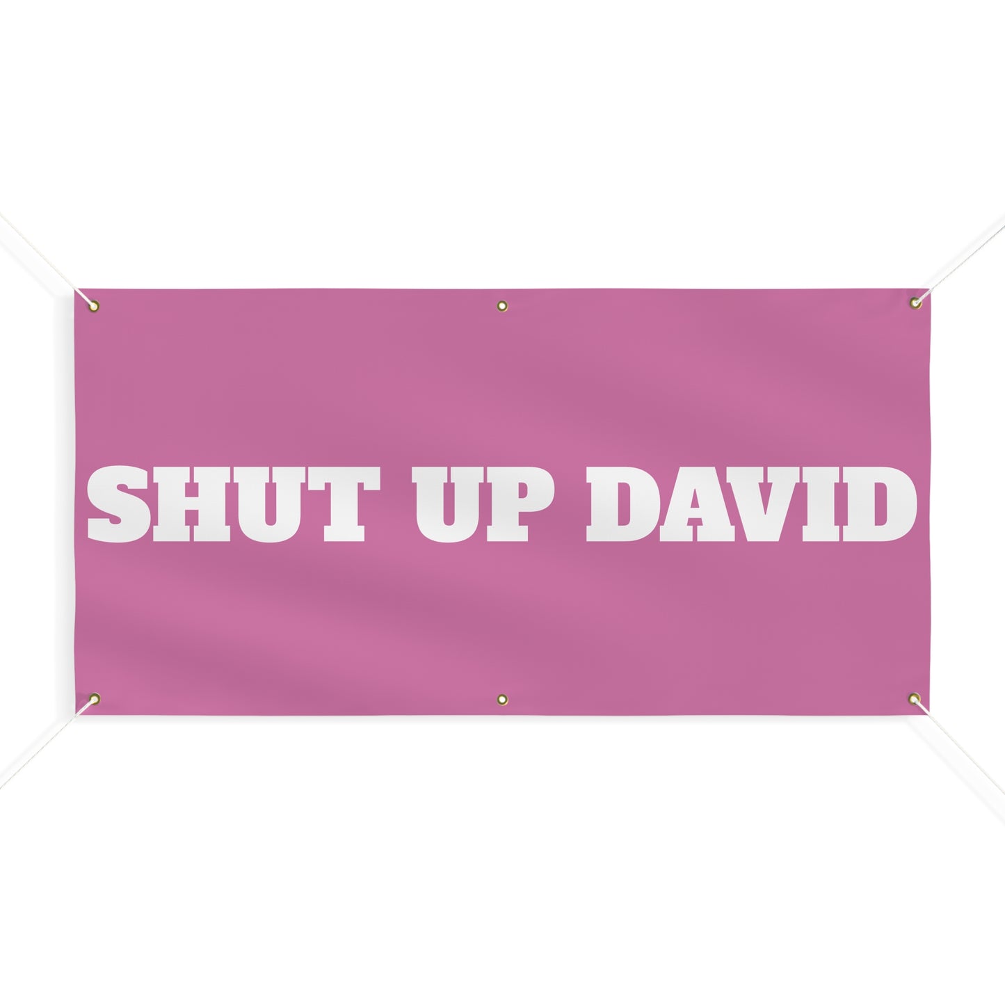 SHUT UP DAVID Flag