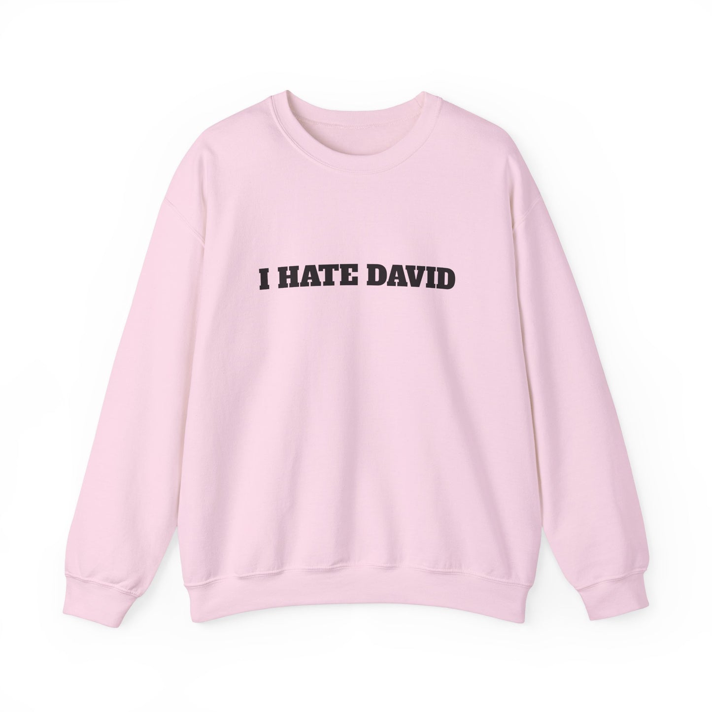 I HATE DAVID Sweater