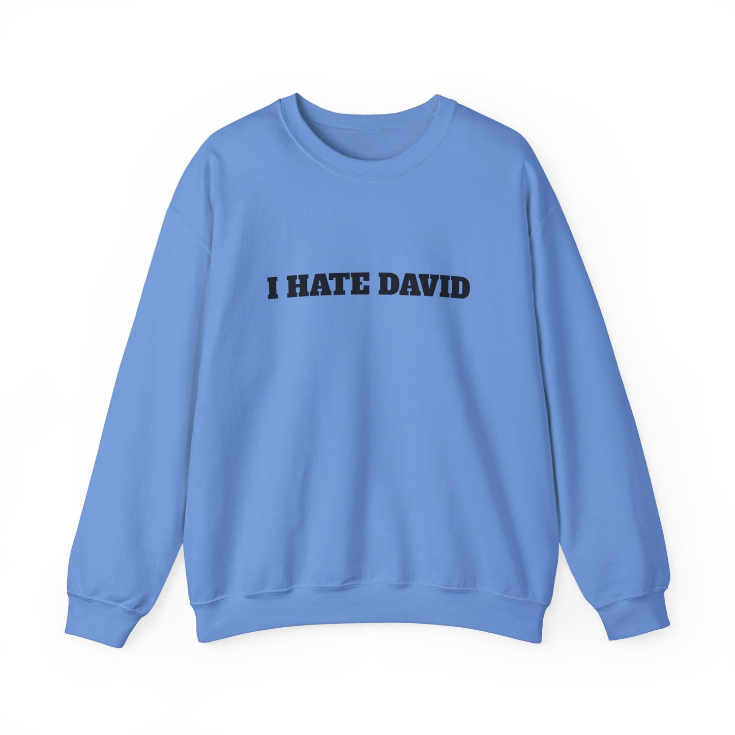 I HATE DAVID Sweater