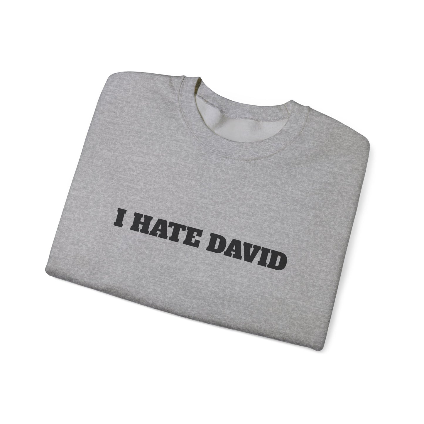 I HATE DAVID Sweater