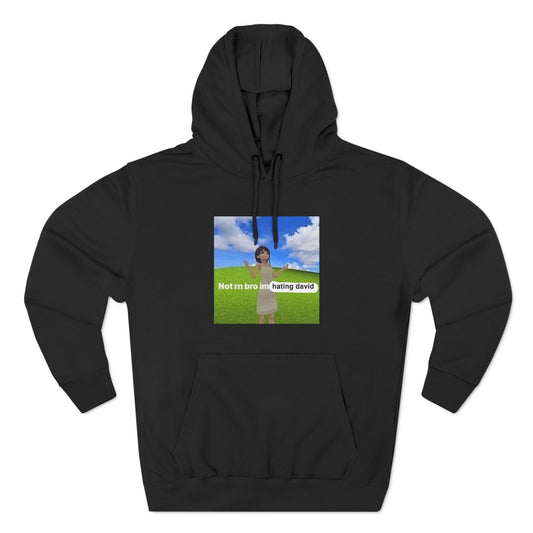 NOT RN - IM HATING DAVID Hoodie